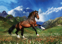 GRAFICO3D-Horse